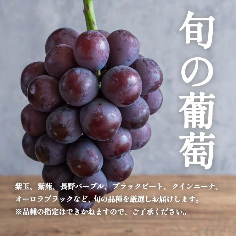 岡山県産シャインマスカット1房×ぶどう1房 詰め合わせ 2房 約1.2kg