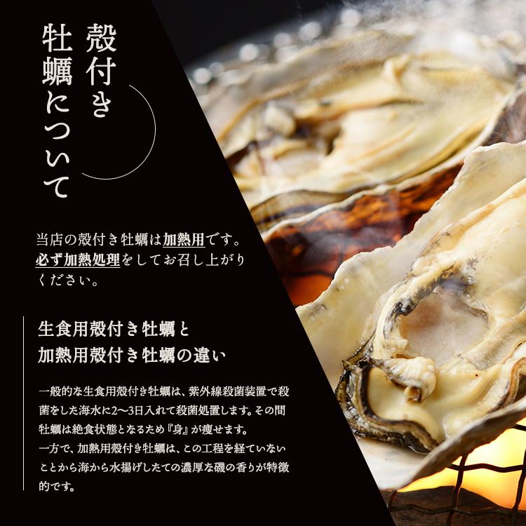 岡山県産 生牡蠣セット むき身1kg 殻付き2 5kg 詰め合わせ 虫明産 虫明かき 日生牡蠣 日生 カキ 岡山 牡蠣 かき 生カキ お歳暮 プレゼント 贈答 ギフト 産地直送
