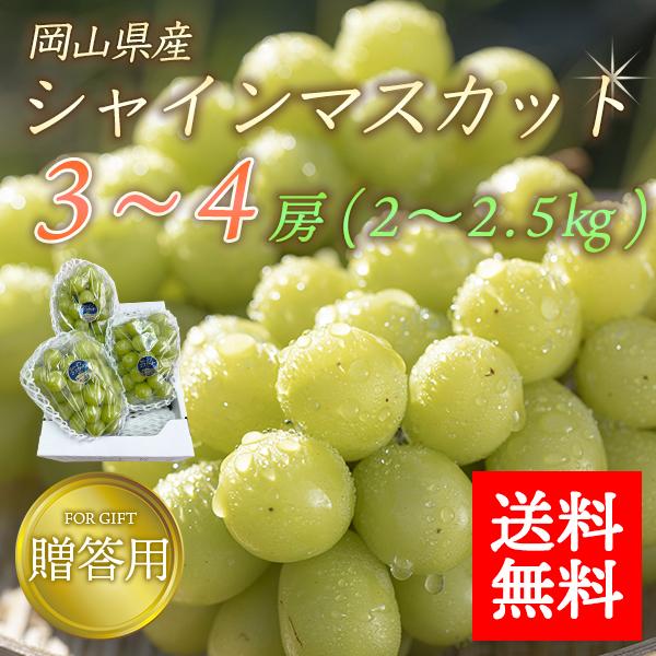 岡山県産 シャインマスカット 贈答用 岡山 500-700g 3-4房入 2-2.5kg 送料無料 マスカット ぶどう ギフト 贈り物 敬老の日 プレゼント 産地直送 フルーツ｜gift1010