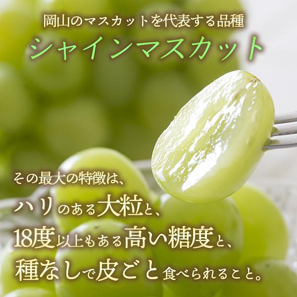 岡山県産 シャインマスカット 贈答用 岡山 500-700g 3-4房入 2-2.5kg