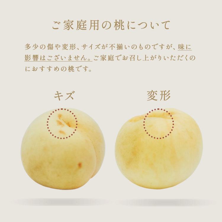 岡山白桃 ご家庭用 5-7玉入り 約1.5kg 岡山県産 白桃 お中元 岡山白桃 ご家庭用 5-7玉入り 約1.5kg 岡山県産 白桃 お中元