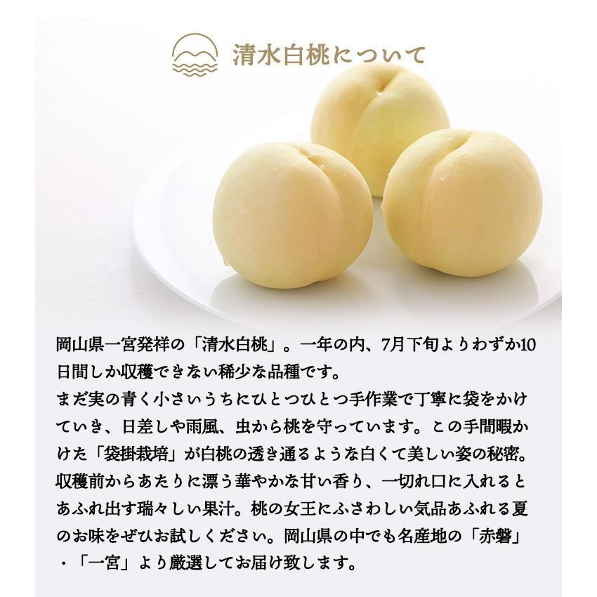 清水白桃 ご家庭用 6 8玉入り 約2kg 送料無料 お中元 御中元 訳あり お徳用 お得用 岡山県産 岡山 おかやま 赤磐 一宮 白桃 桃 もも モモ ピーチ 産地直送 St6001 岡山おくりものファーム 通販 Yahoo ショッピング