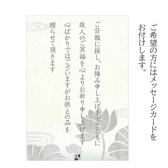 Amazon.co.jp: 日本香堂(Nippon Kodo) 御香 セット1000 包装品 1個 :