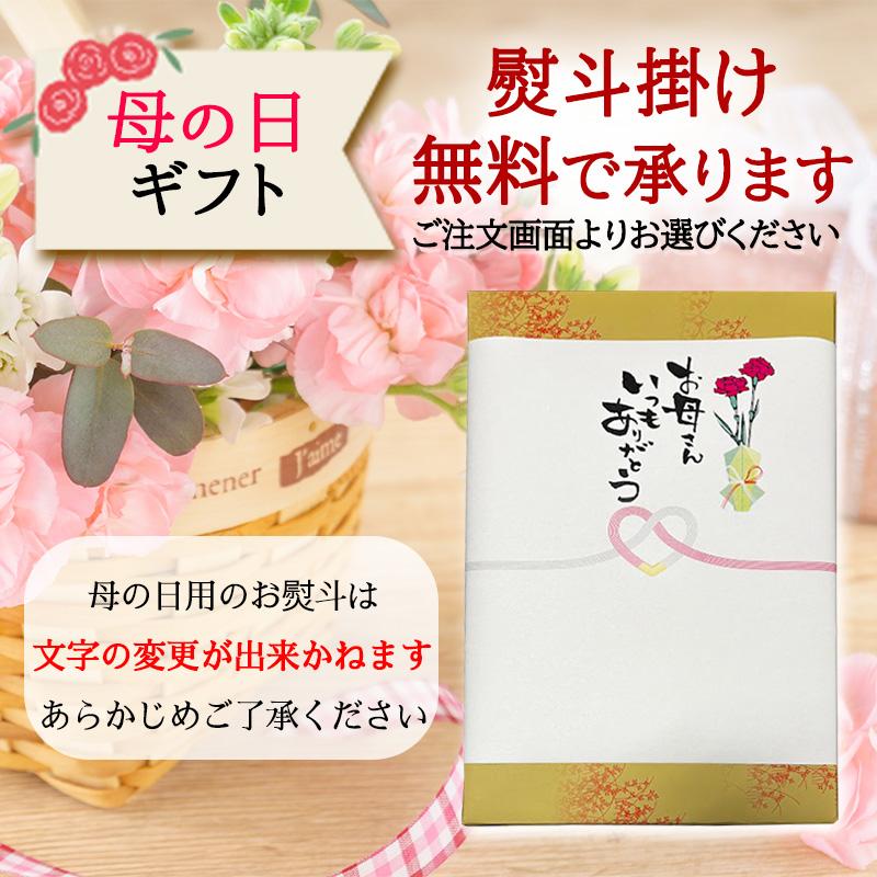 母の日 ギフト レトルトカレー 博多華味鳥 絶品 人気 3種 キーマカレー チキンカレー 手羽元カレー かしわ飯 卵スープ ギフトBOX入 のし対応 |  | 07