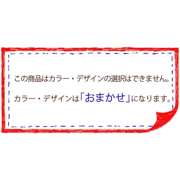 【メール便対応】ロングナイロンタオル（かため）　ボディウォッシュ/お風呂用タオル/身体洗いタオル　《メール便は2個まで同梱可》　seiwa40-349AK｜giftcompany｜02