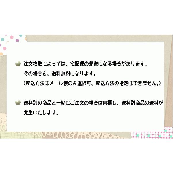 【送料無料】【メール便発送】FITスポーツなわとび　スポーツ縄跳び　par001-CR-1878-4AK【c】｜giftcompany｜03