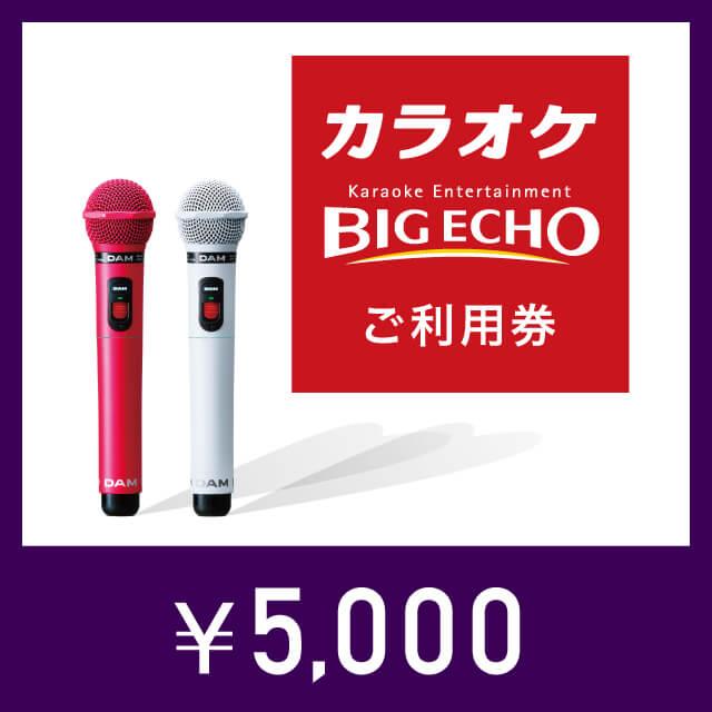 カラオケ ビッグエコー デジタルご利用券（5,000円） : ギフティ