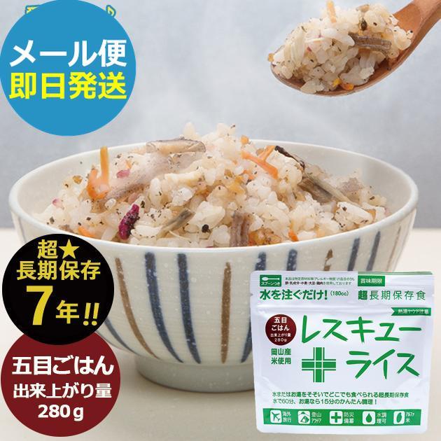 レスキューライス 非常食 五目御飯 RR-GO100Y7