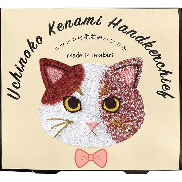 Uchinoko mate 毛並みハンカチ ミケ UNJ-805 (メール便)【_ 今治タオル