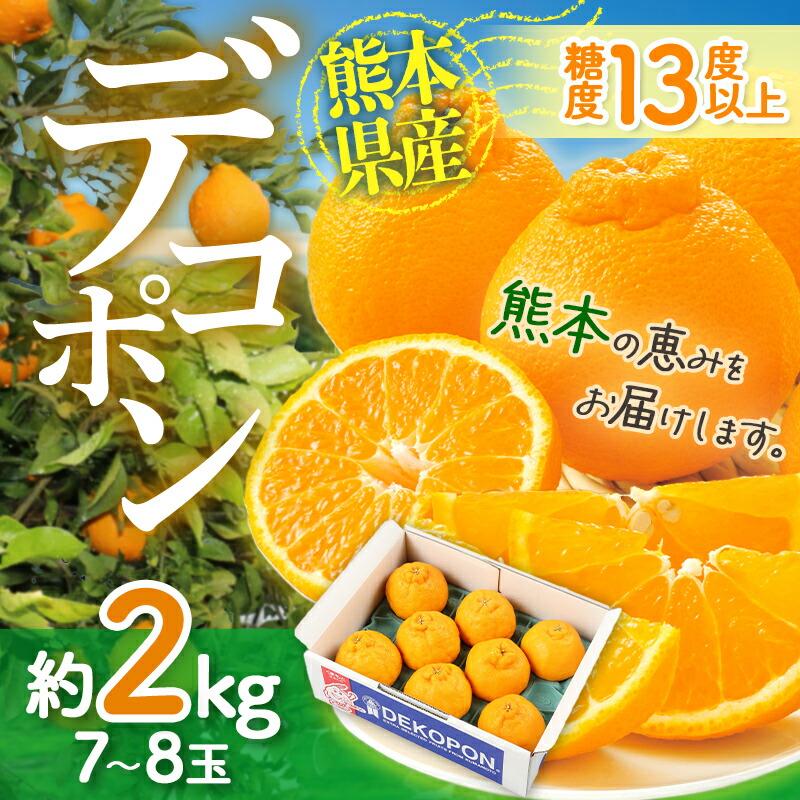 2025年2月上旬-中旬お届け フルーツ 熊本県産 デコポン 約2kg (7 2025年2月上旬-中旬お届け フルーツ 熊本県産 デコポン 約2kg (7