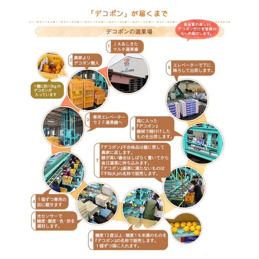 2026年2月上旬-下旬お届け フルーツ 熊本県産 デコポン 約2kg (7、8玉