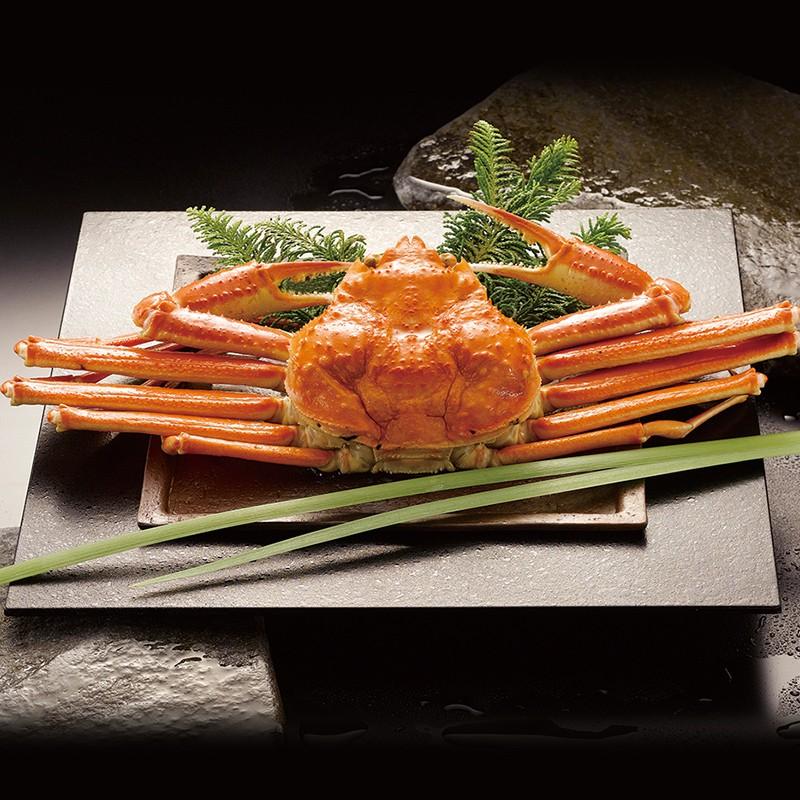 ギフト プレゼント 送料無料 ボイル ずわいがに 500g ズワイガニ 蟹 カニ 惣菜 C1965 お取り寄せ 特産 手土産 かに おすすめ 贈答品 食品 高級 お中元 21 ギフト百花 通販 Paypayモール