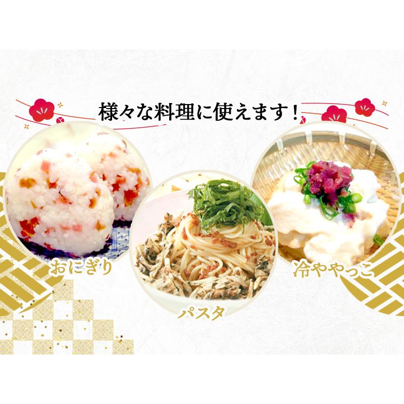 最新作 父の日 22 カリカリ梅 ふりかけ ご飯のお供 おにぎり 南高梅 しそ 刻み 本庄うめよし 300g お取り寄せグルメ 食べ物 食品 高級 ギフト プレゼント 送料無料 Riosmauricio Com