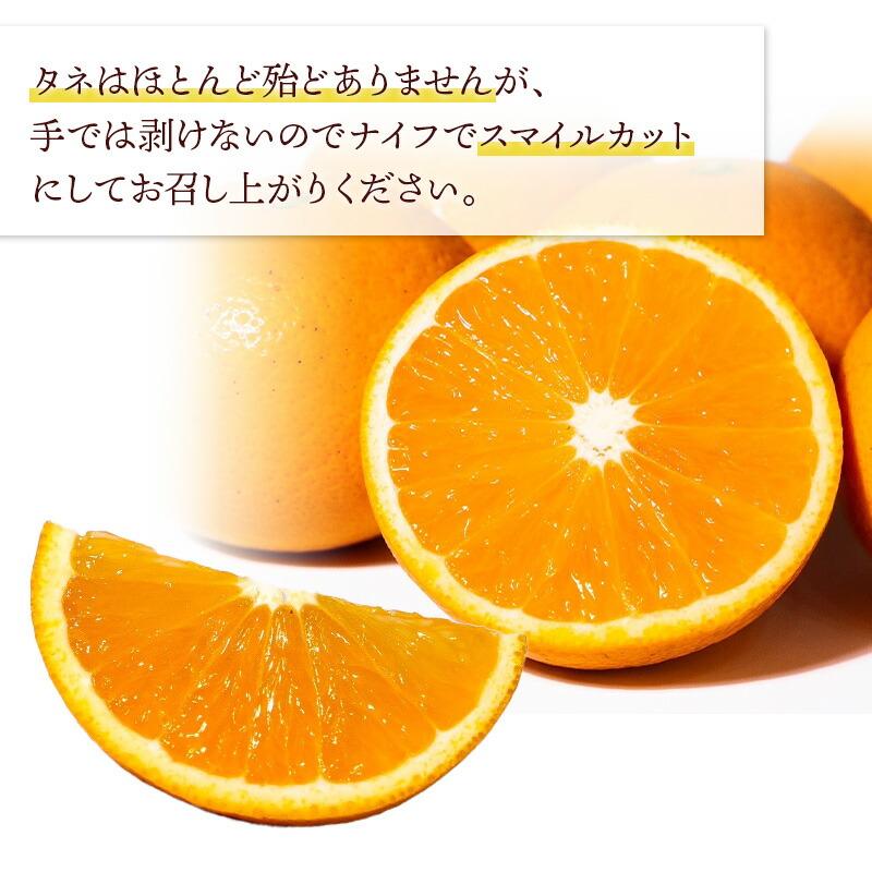 2026年2月中旬〜6/10お届け フルーツ 和歌山 直送 森本農園の 清見