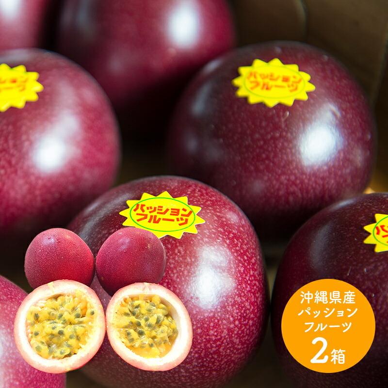 日本未発売 沖縄県産 規格外品 パッションフルーツ lepiceriedeshalles
