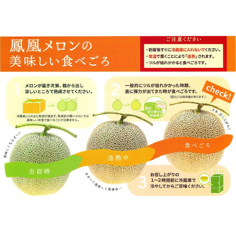 メロン 今年もお届けします！Mama's Harvest 富良野山部メロン超特大