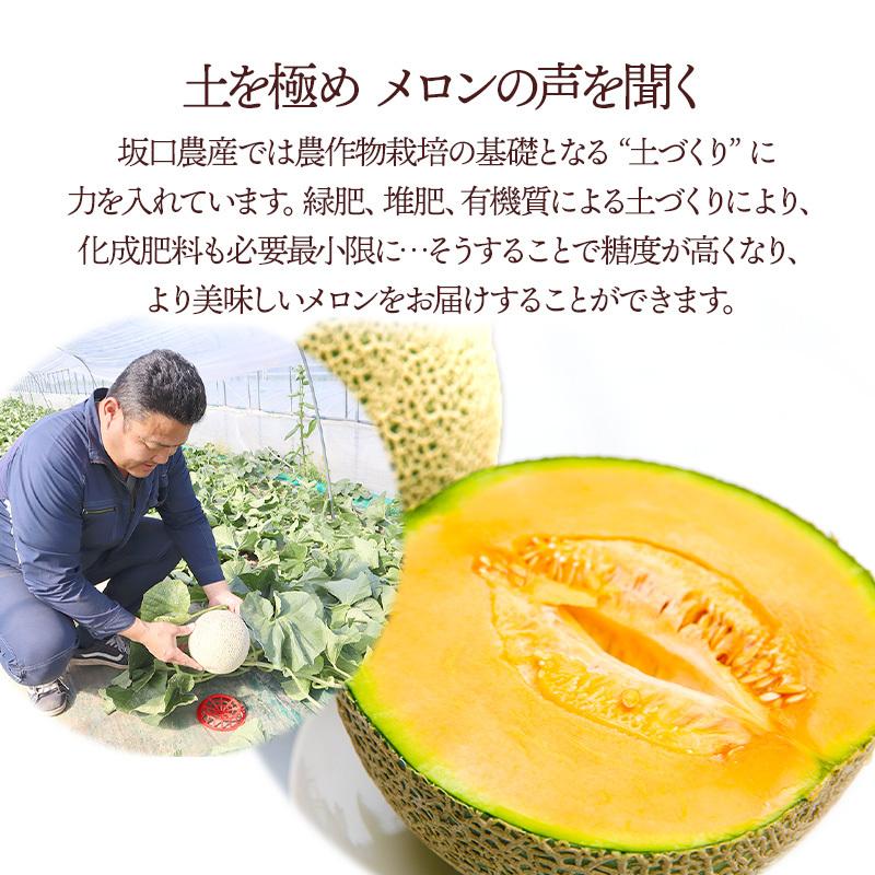 2025/6/16〜8/31お届け フルーツ 坂口農産 北海道 富良野 鳳凰