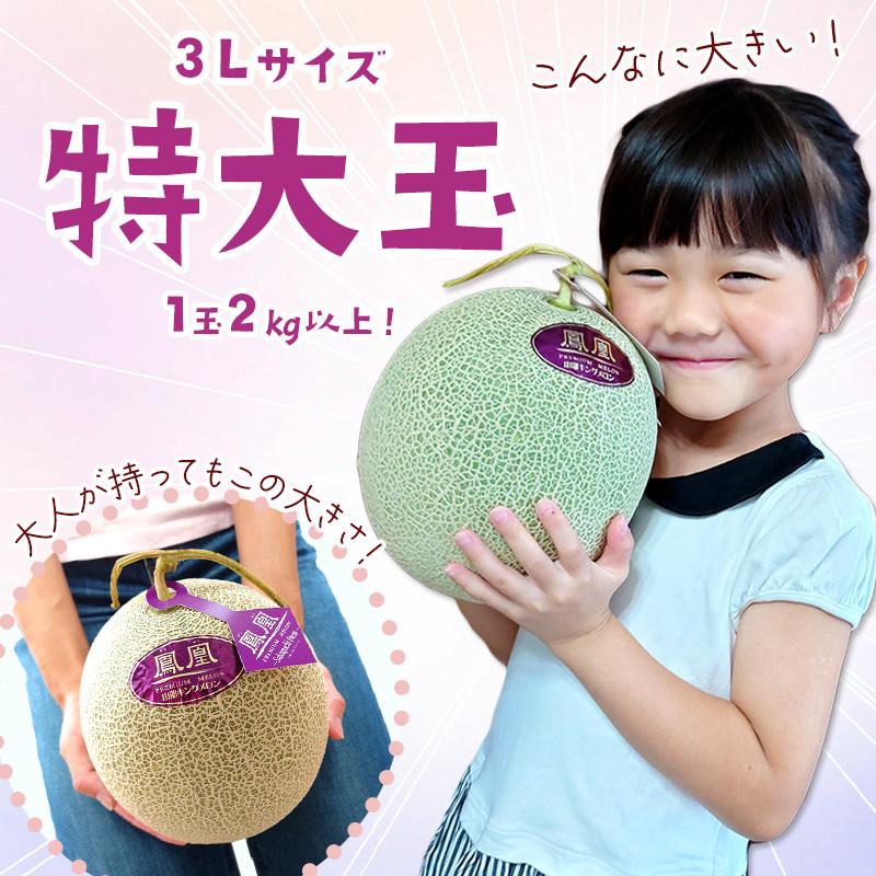 メロン sg001_lp03.jpg