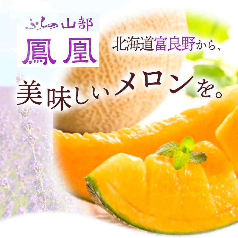 お中元 2026/6/22〜8/31お届け フルーツ 坂口農産 北海道 富良野 鳳凰