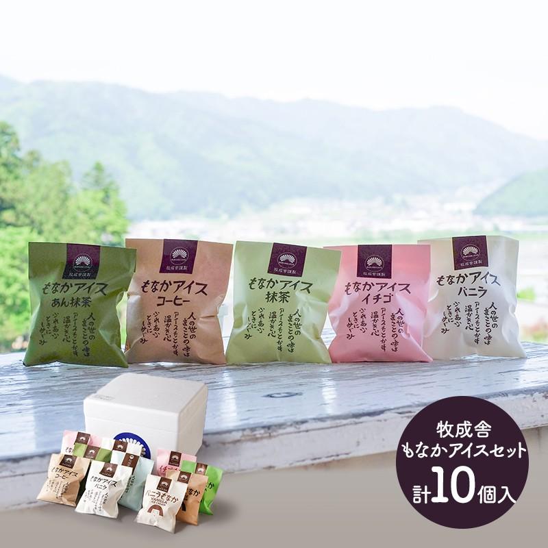 ギフト アイス プレゼント 岐阜 牧成舎 最中アイスバラエティーセット 計10個 9種 いちご コーヒー お取り寄せ 手土産 お祝い 送料無料 Sk1024 高級 ギフト百花 通販 Paypayモール