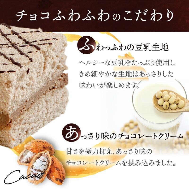 お中元 22 Sk 700円 お菓子 ギフト ケーキ スイーツ チョコふわふわと餅ショコラのセット チョコレート プレゼント 和菓子 岐阜 新杵堂 洋菓子 送料無料 高級 国内正規品 スイーツ