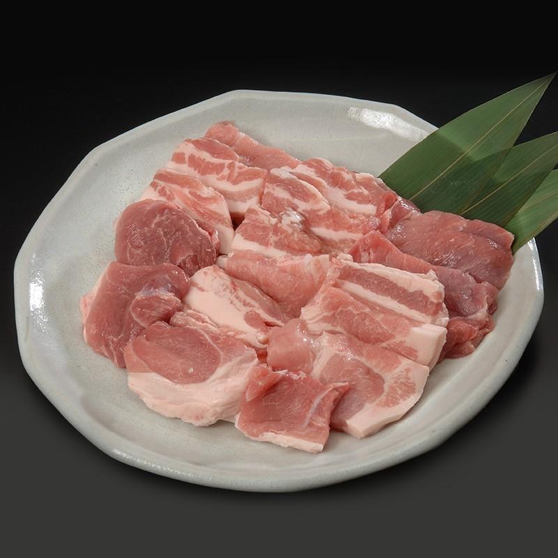 ギフト プレゼント 送料無料 沖縄 琉球まーさん豚 あぐー 焼肉 Sk1379 もも肉 ロース 肩ロース やきにく アグー お取り寄せ セット 詰合せ お祝い お中元 21 ギフト百花 通販 Paypayモール