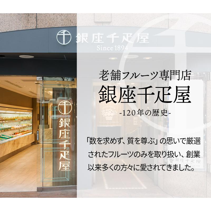 母の日 2024 スイーツ 銀座千疋屋 ストロベリーアイスケーキ 11cm四方 2〜3名 洋菓子 ケーキ 千疋屋 フルーツ いちご 苺 アイス 高級 送料無料 SKX002｜gifthyakka｜05