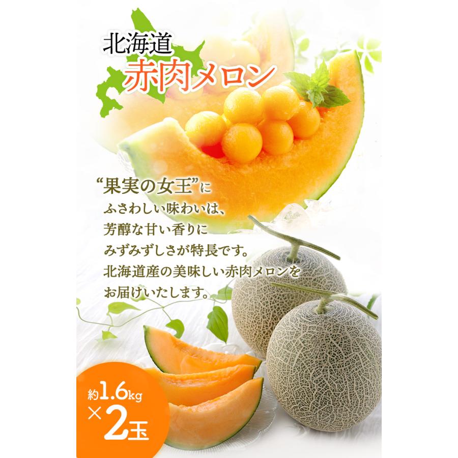 お中元 2026/6/25-9/10お届け フルーツ 北海道 赤肉メロン 大玉 2玉 果物 メロン 送料無料 御中元 SN0000-020104 |  | 02