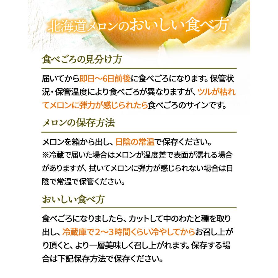 お中元 2026/6/25-9/10お届け フルーツ 北海道 赤肉メロン 大玉 2玉 果物 メロン 送料無料 御中元 SN0000-020104 |  | 04
