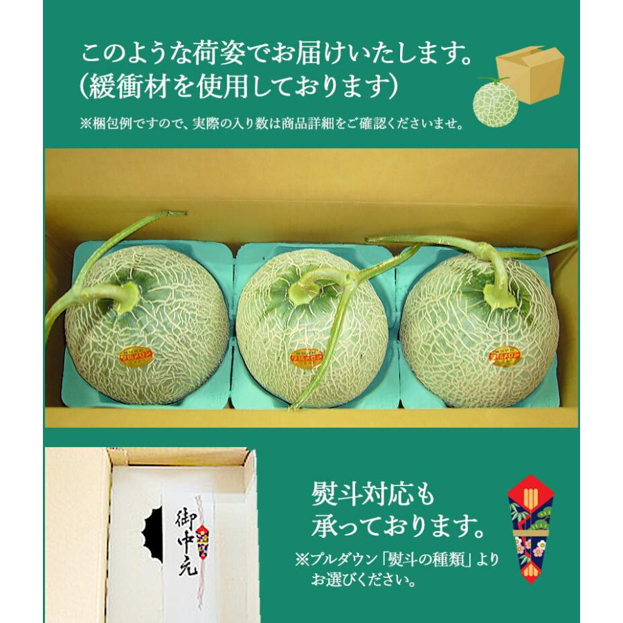 お中元 2026/6/25-9/10お届け フルーツ 北海道 赤肉メロン 大玉 2玉 果物 メロン 送料無料 御中元 SN0000-020104 |  | 06