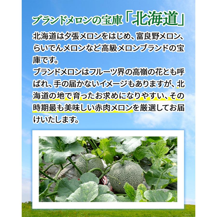 お中元 2026/7/1-9/10お届け フルーツ 北海道産 赤肉メロン&夕張メロン
