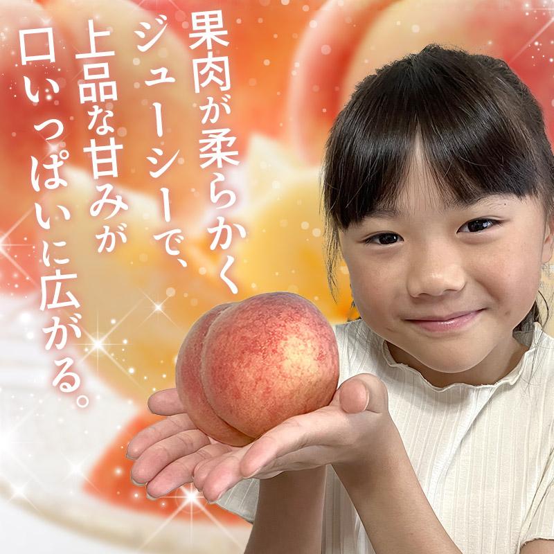 中国　砡製　果実　葡萄桃　送料込み251113 お中元 2026/6/25-7/20お届け フルーツ 愛知 豊田産の 桃 約1.3kg 5玉