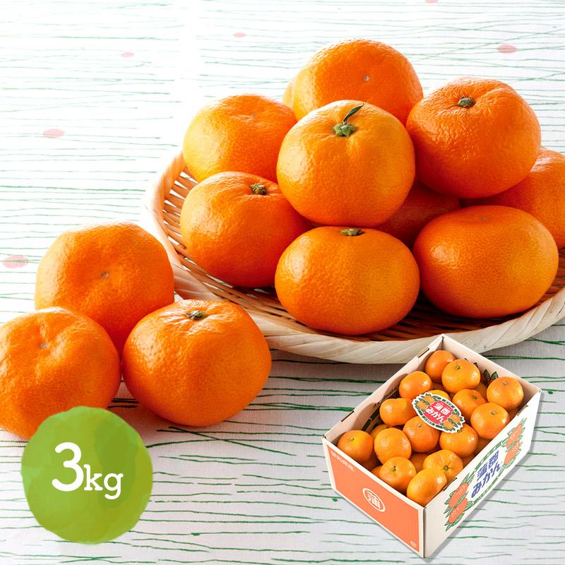 お歳暮 2025/12/1-12/15お届け 愛知JA蒲郡市 蒲郡みかん 3kg 青果 果物