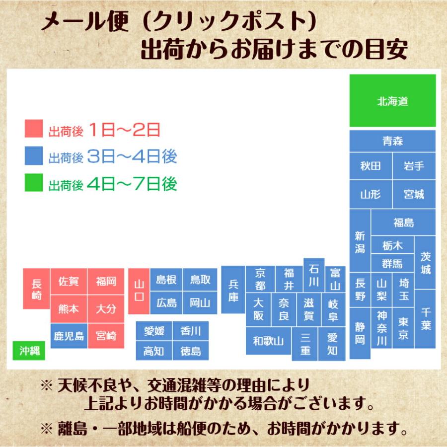 1000円ポッキリ 送料無料 バリ勝男クン 選べる6袋 バリ勝男 かつおぶしチップス おつまみ おつまみセット 鰹節 お菓子 おやつ ビールのお供｜giftland-showa｜09