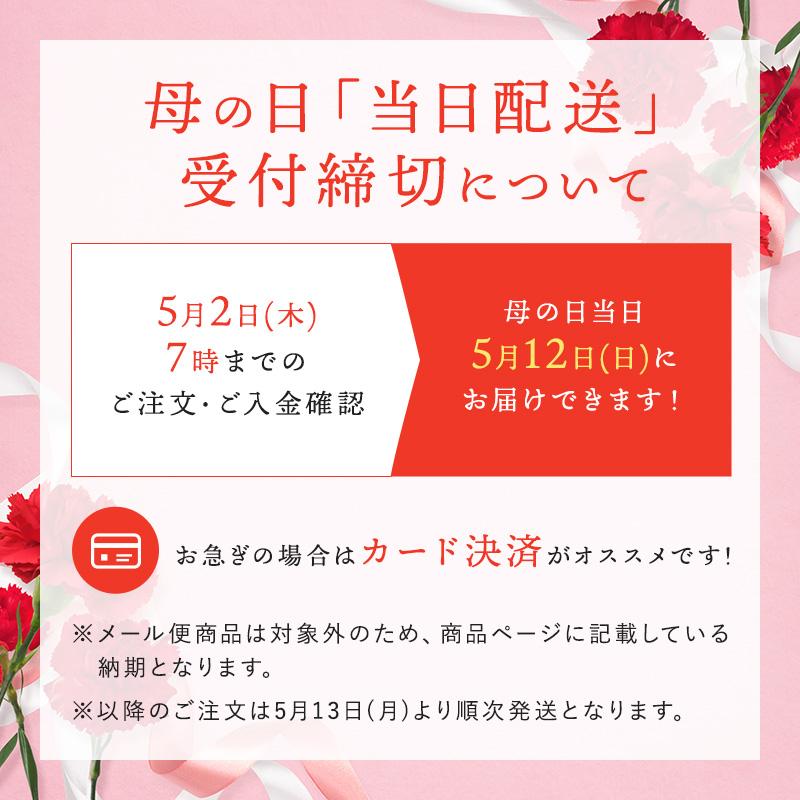 父の日ギフト プレゼント 内祝い お菓子 ギフト 銀座京橋 レロジェ エギュスキロール プチガトー 45個入 お返し 3000円 スイーツ 母の日 ははの日 父の日 洋菓子｜giftland-showa｜11