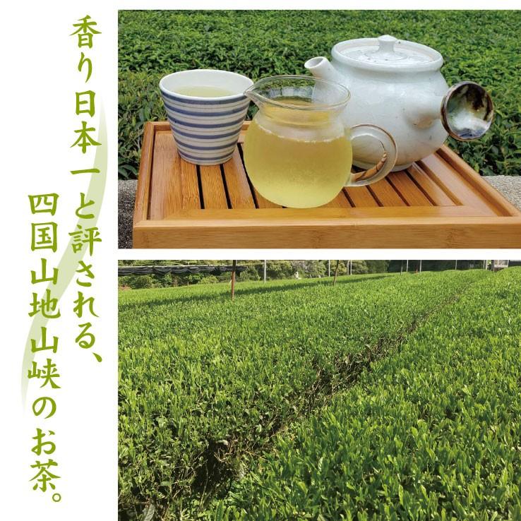 父の日 ギフト 新宮茶 希物80g 月の雫80g 四国のお茶 美味しい