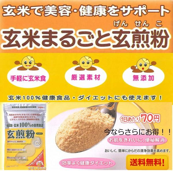 玄米まるごと 玄煎粉 1個 無添加 国産 玄米粉 100％ : ギフト