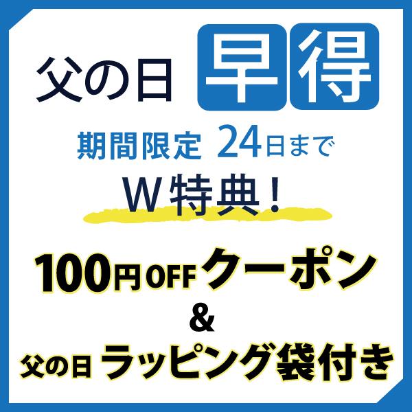 ＼父の日 早得 クーポン100円OFF＆父の日ラッピング袋 24日まで！／  父の日 ギフト 早割 プレゼント ハンカチ ハンドタオル 手形アート｜giftmore｜02