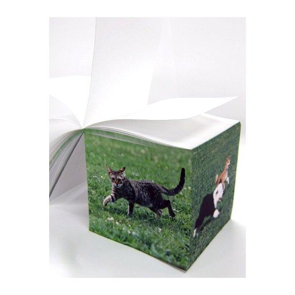 激安の オリジナル ３面印刷 サイコロメモ大 100 100 100mm 1セット ２０個 送料無料 Zoetalentsolutions Com