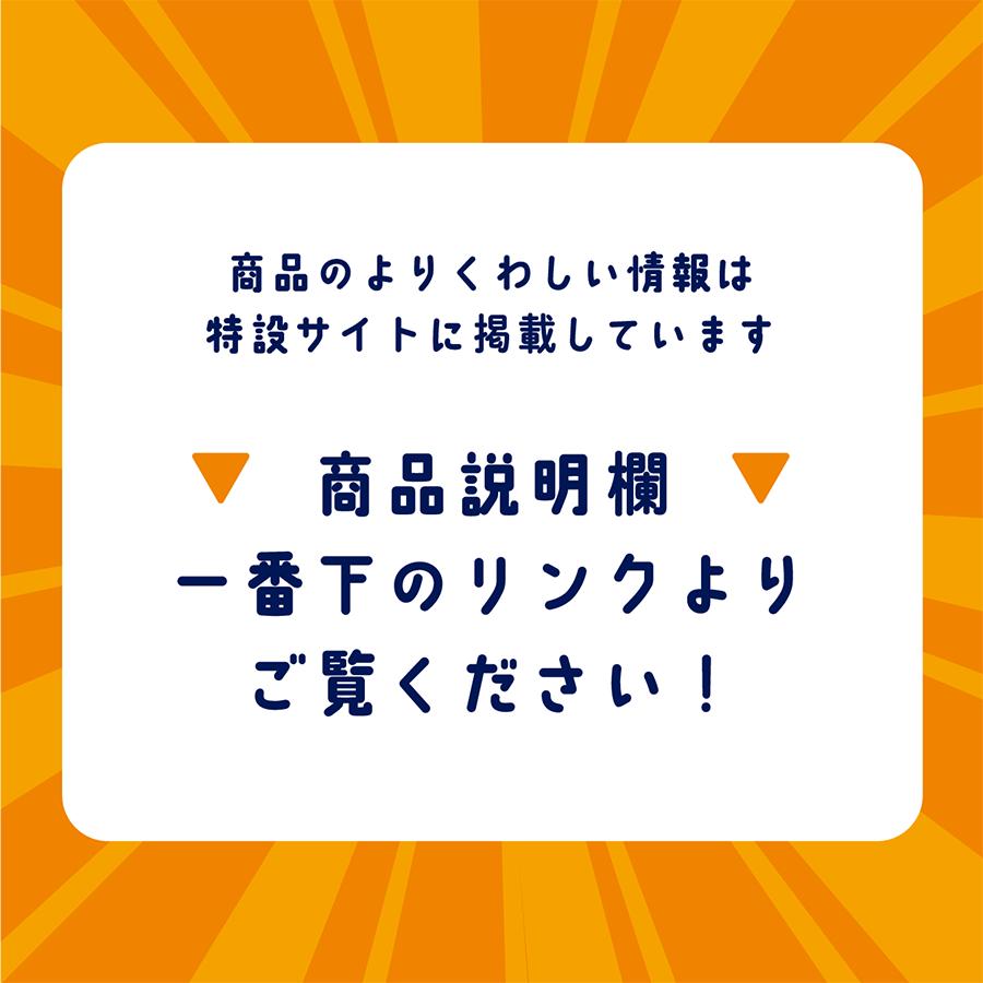 より一層の感動と驚きを贈るスペシャルオプション　giftool専用VRキット |  | 07