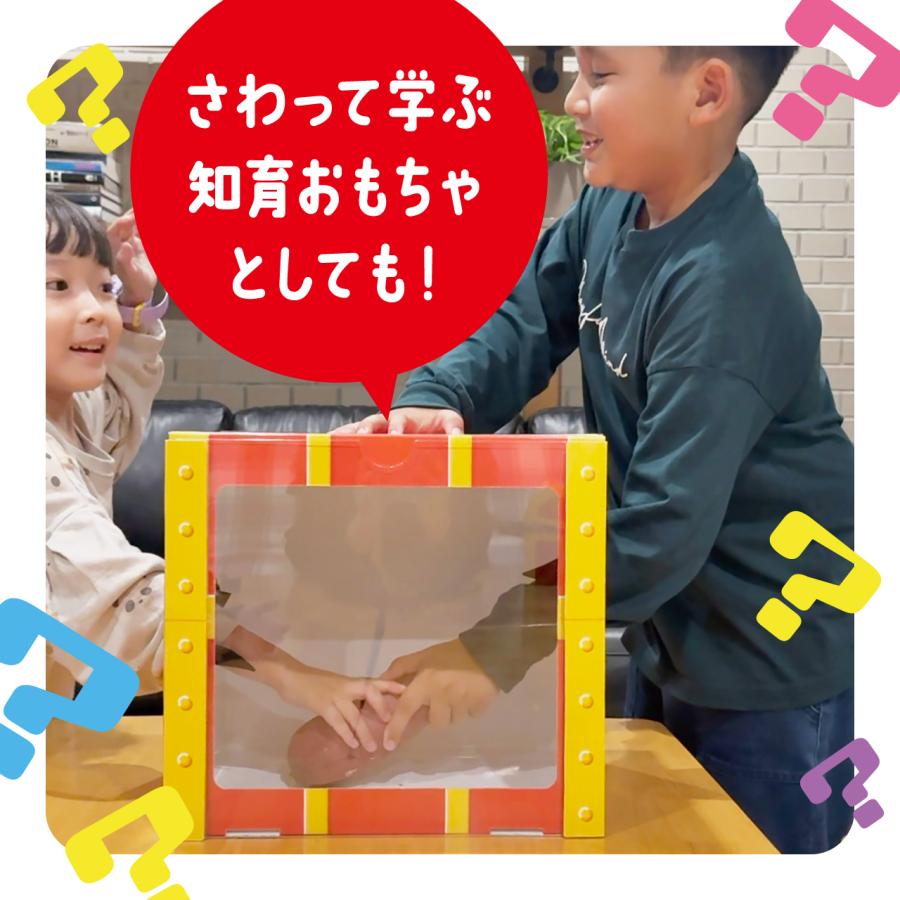 籠の中に商品をお入れして~ディスプレーにいかがでしょうか! よろずやマルシェ本店 | 和泉化成 横開きディスプレイケース