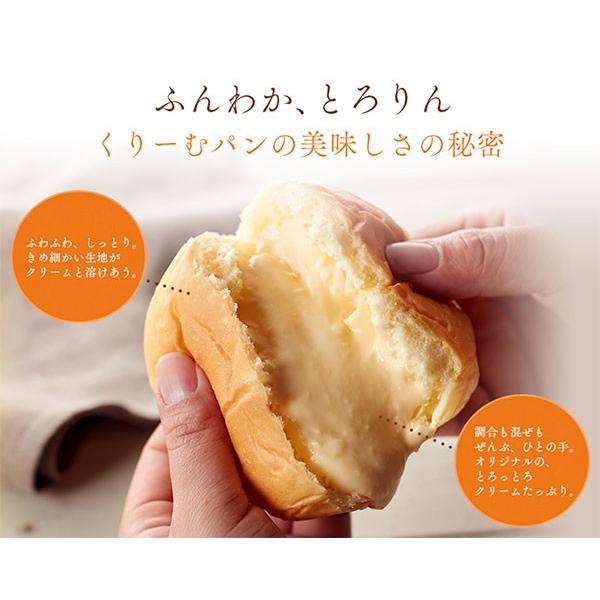 八天堂 クリームパン 9個 プレミアムフローズンくりーむパン詰合せ 送料無料 お取り寄せグルメ Hattendo K9 Giftories ギフトリーズ 通販 Yahoo ショッピング