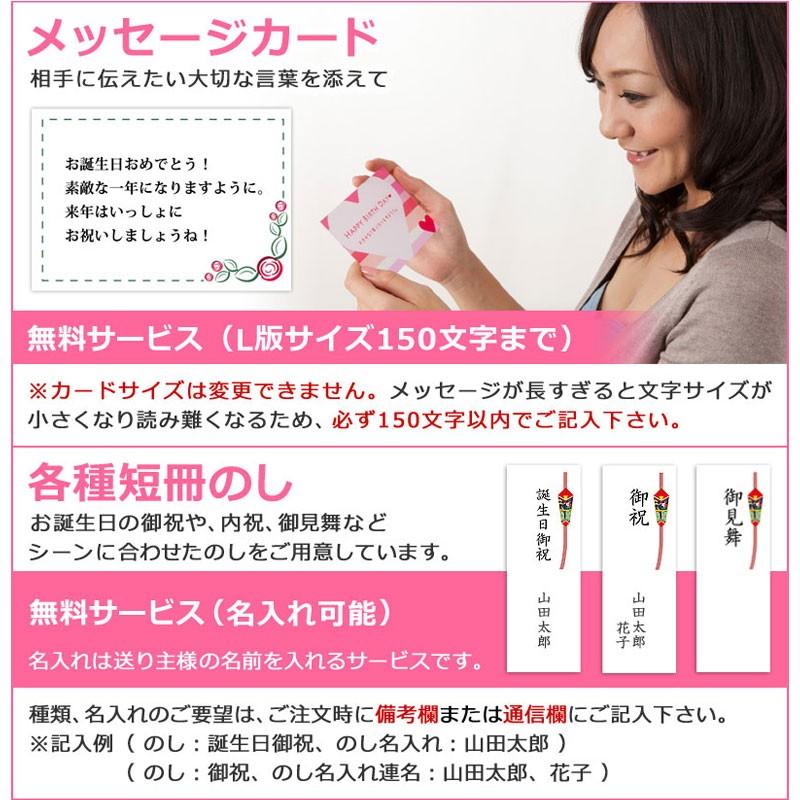 ハロウィン 果物 ギフト サプライズプレゼント ハッピーキッズ バースデーケーキ 誕生日 プレゼント カットフルーツ盛り合わせ クリスマス 送料無料 Hp Ffkids 2100 バースデーフルーツ ギフトパーク 通販 Yahoo ショッピング