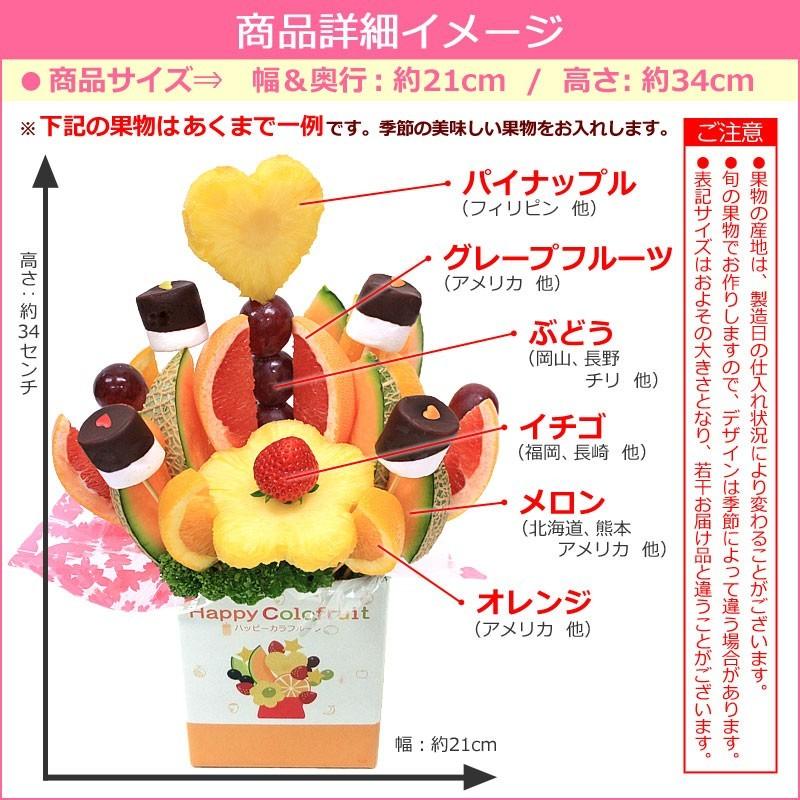 クリスマス予約 ノア 無料特典付き ケーキ 誕生日 プレゼント ギフト サプライズプレゼント カットフルーツブーケ 送料無料 インスタ映え Ffnoaxmas 2100 バースデーフルーツ ギフトパーク 通販 Yahoo ショッピング