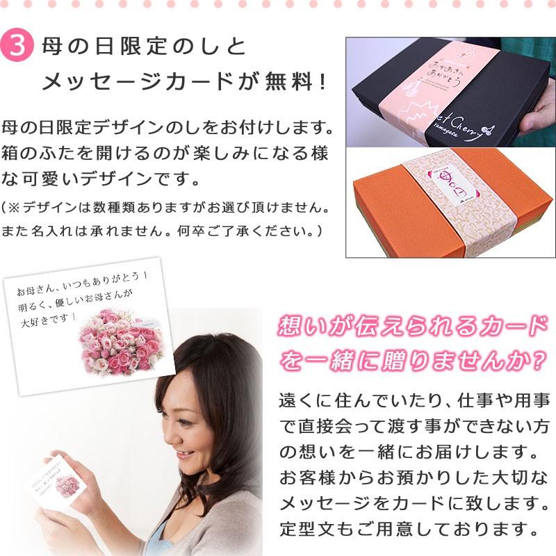 22年 母の日 予約 佐藤錦 24粒化粧箱 さくらんぼ 送料無料 メッセージカード付き 熨斗無料 Hahasakurak01 2100 バースデーフルーツ ギフトパーク 通販 Yahoo ショッピング