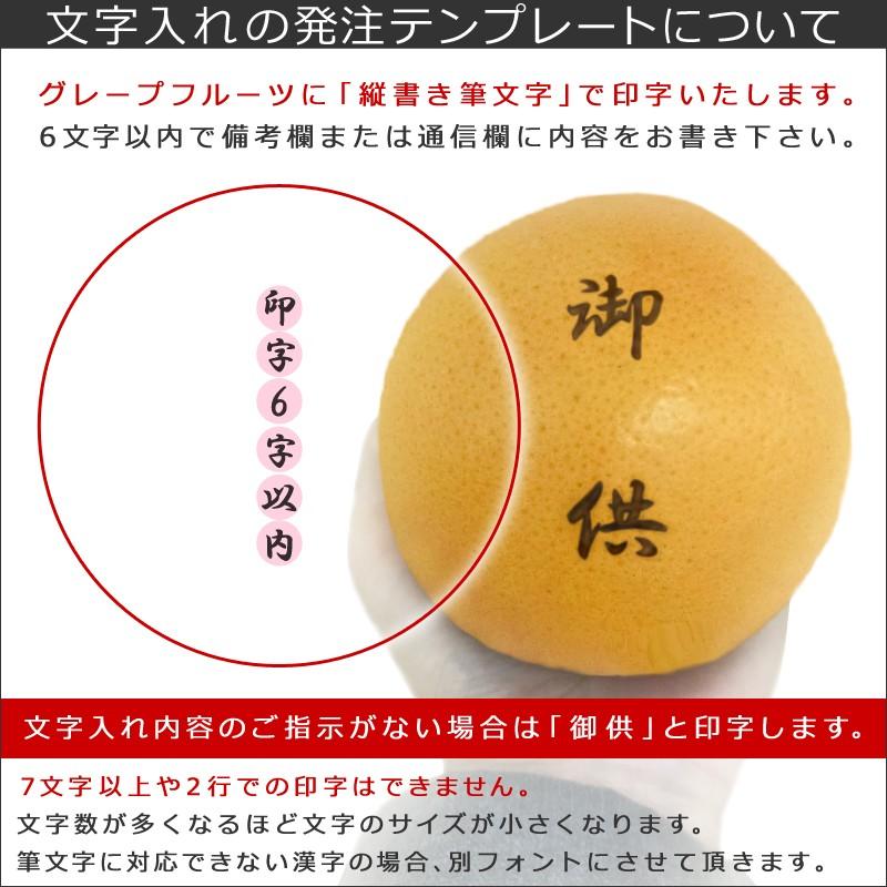 正規店仕入れの お供え 果物 詰め合わせ 文字入りフルーツセット M 御供 御霊前 御仏前 法事 法要 葬儀 お盆 初盆 新盆 お彼岸 一周忌 四十九日 香典返し ネーム入り kk wantannas.go.id 正規店仕入れの お供え 果物 詰め合わせ 文字入りフルーツセット M 御供 御霊前 御仏前 法事 法要 葬儀 お盆 初盆 新盆 お彼岸 一周忌 四十九日 香典返し ネーム入り kk wantannas.go.id