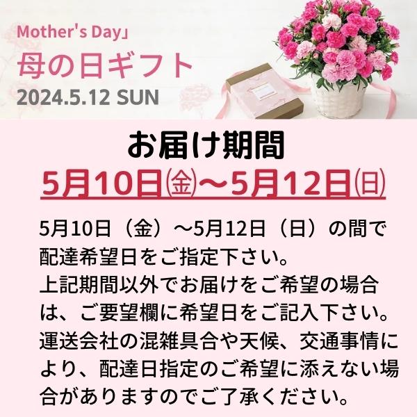 母の日 ボックスフラワーアレンジメント ミッキー&ミニー 母の日ギフト 2024 Mother's Day 健康 元気 思いやり 贈り物 ギフト プレゼント｜giftshop-sanko｜06