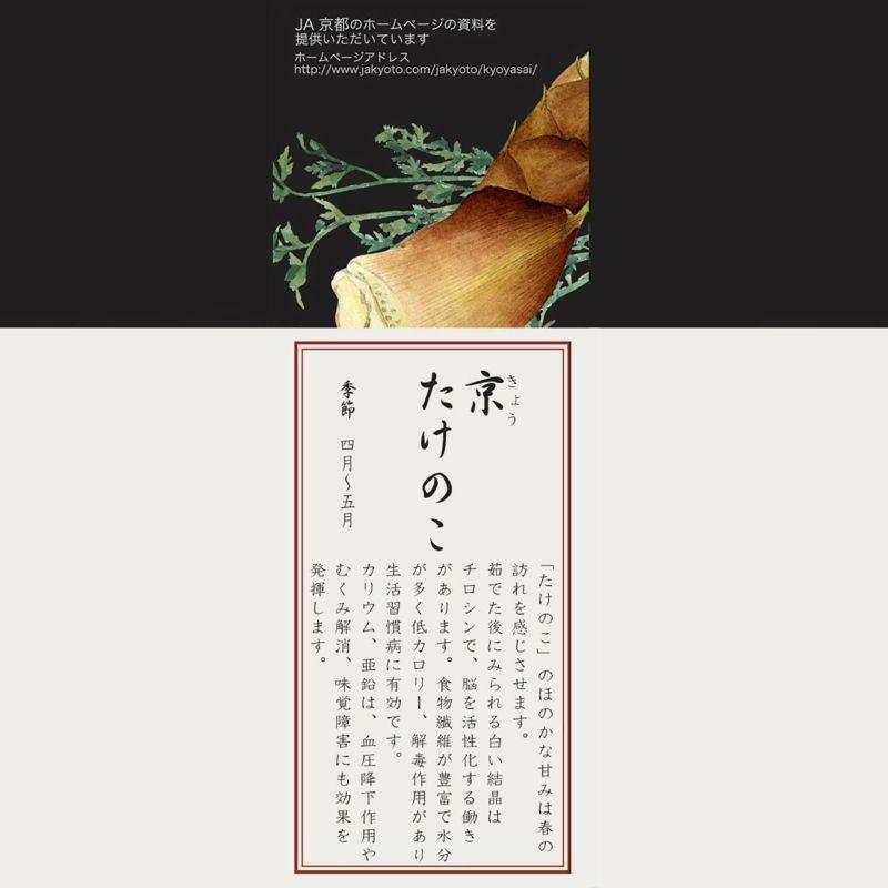 ノリタケ 福袋 皿 12点セット 大皿 中皿 中鉢 プレート ボウル 京香旬