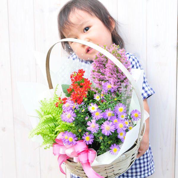 爆買いセール 花 誕生日 フラワープレゼント 季節の寄せ植えフラワーギフト