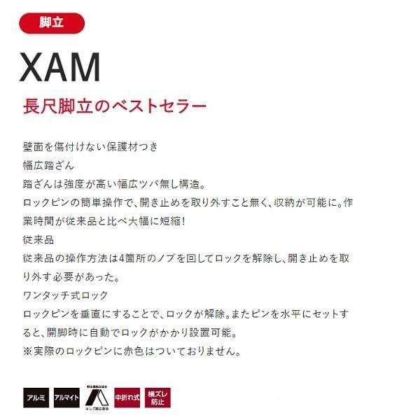長谷川工業 アルミ長尺脚立 長尺タイプ XAM2.0-30 10尺｜giga-ep｜02